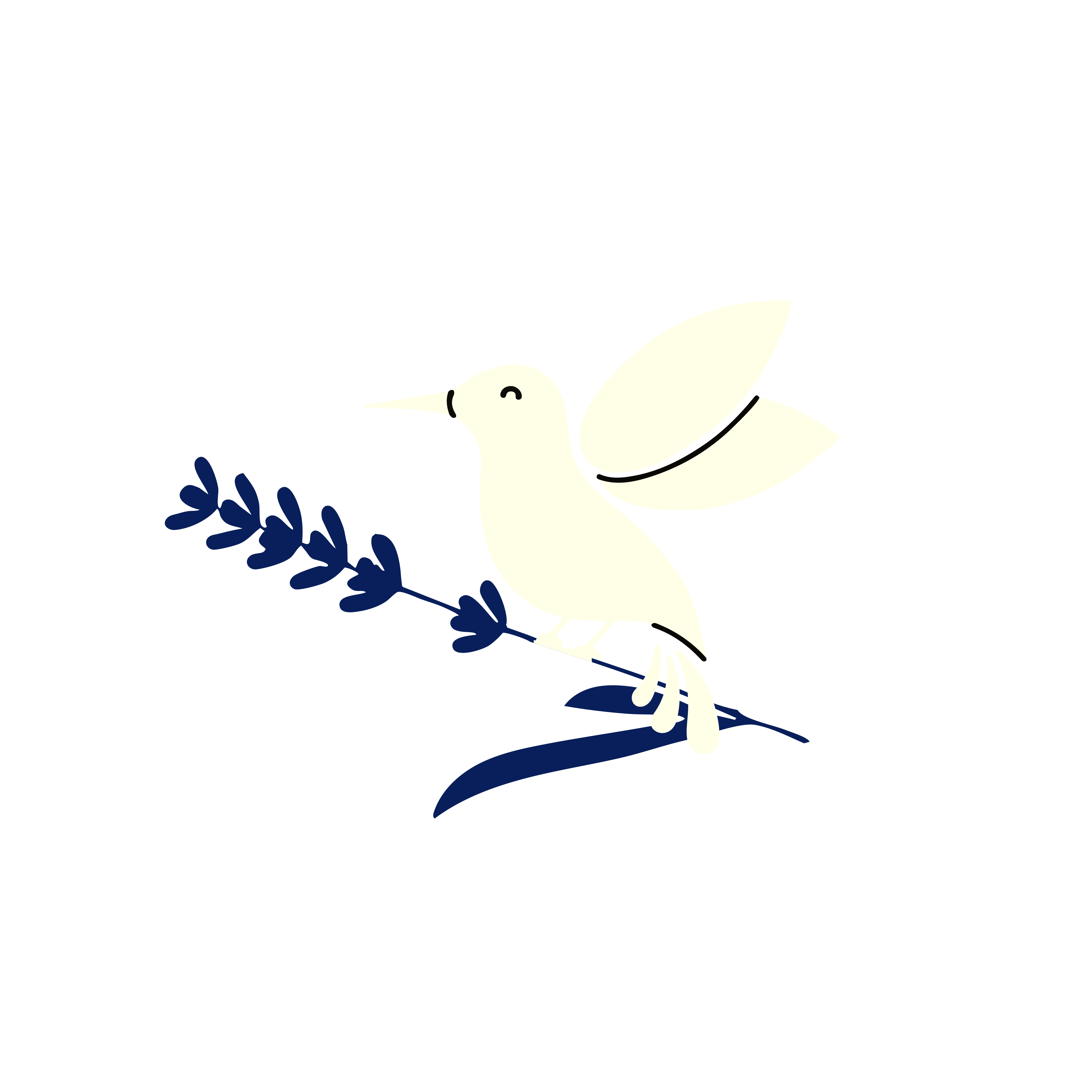 Kiri, la mascota de Fly Gym
